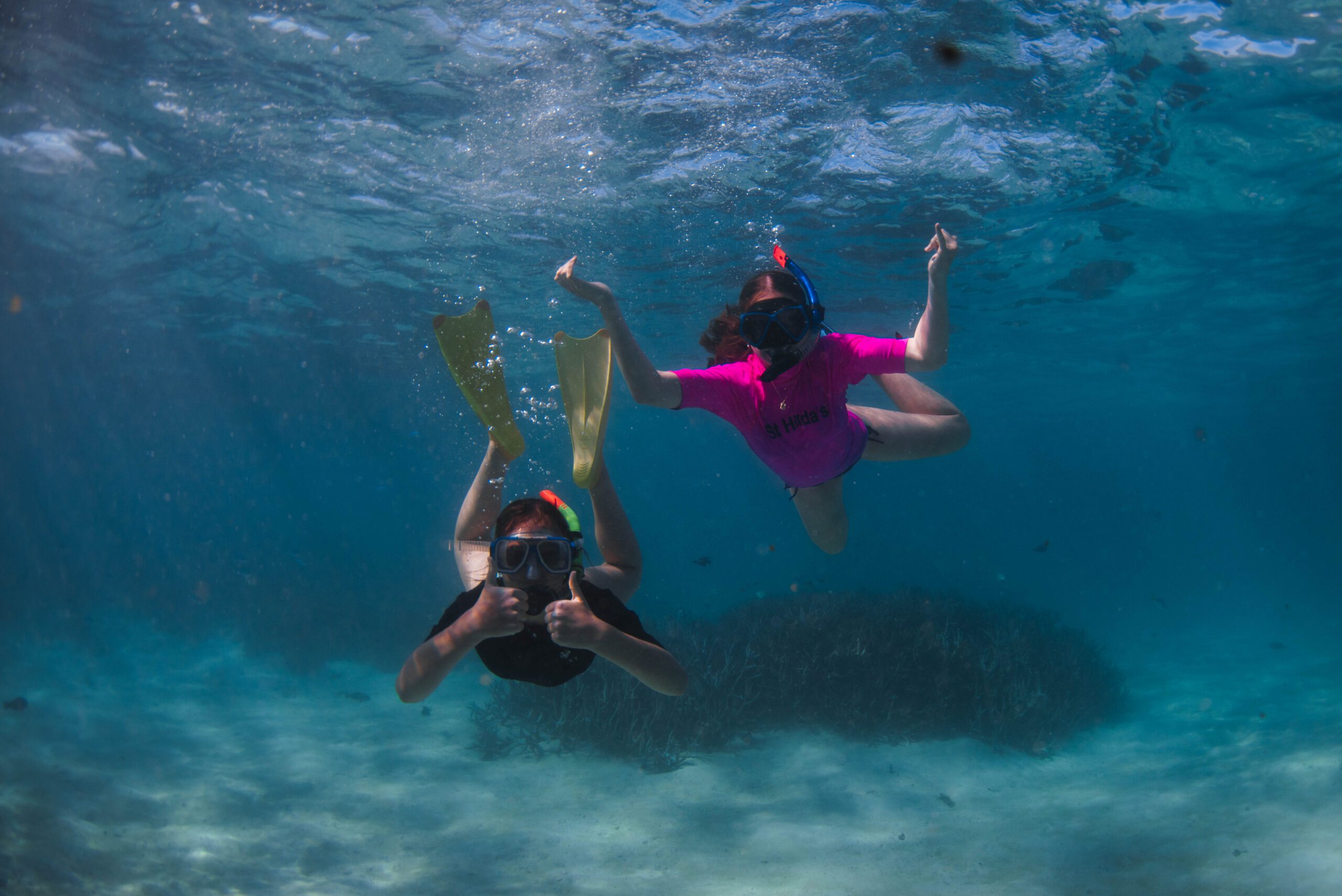 Coral Bay Marine Tour - St Hilda's Anglican School For Girls