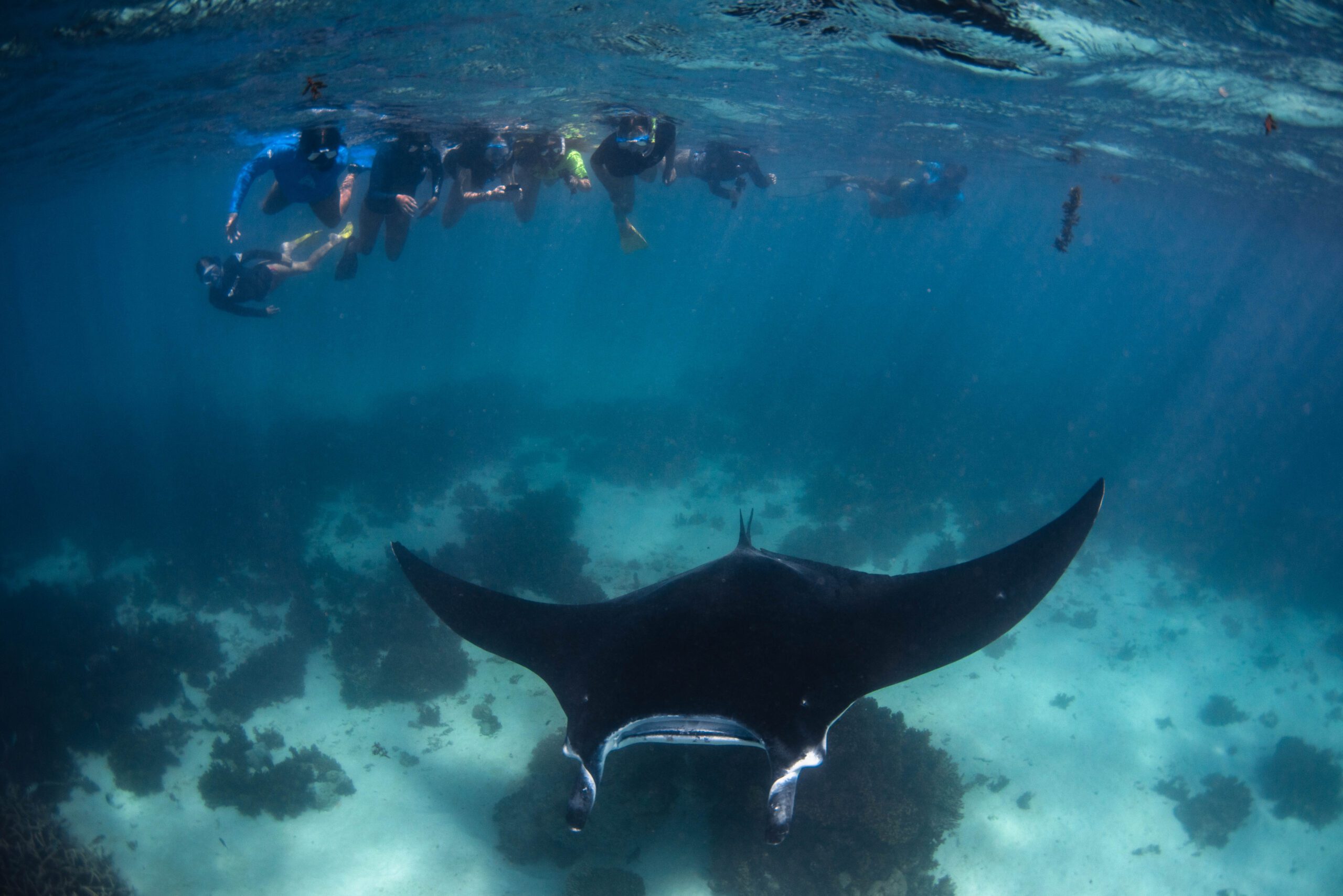 Coral Bay Marine Tour - St Hilda's Anglican School For Girls
